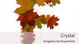  Presentation with maple leaves - PPT theme consisting of letter f from red autumn maple leaves background and a lemonade colored foreground