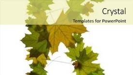  Presentation with green maple leaves - Cool new presentation design with letter k from green maple leaves backdrop and a yellow colored foreground