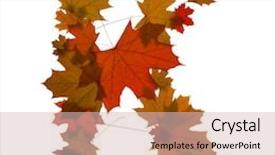  Presentation with maple leaves - Colorful presentation theme enhanced with letter k from red autumn maple leaves backdrop and a soft green colored foreground