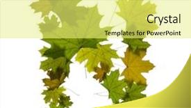  Presentation with green maple leaves - Theme featuring portrait of young woman having coffee while man rests on her lap background and a dark gray colored foreground