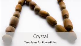  Presentation with letter - Theme enhanced with carbohydrates mix nuts - letter n hazelnut background and a white colored foreground