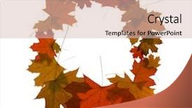  Presentation with maple - Audience pleasing presentation consisting of letter o from red autumn maple leaves backdrop and a soft green colored foreground