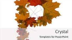  Presentation with maple leaves - Presentation theme featuring letter p from red autumn maple leaves background and a light gray colored foreground