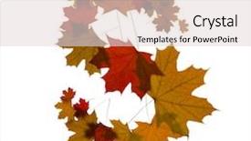  Presentation with maple leaves - Amazing presentation theme having letter s from red autumn maple leaves backdrop and a lemonade colored foreground