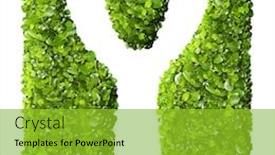  Presentation with tea leaves fresh green leaf - Amazing presentation having letter y made of green leaves isolated on white backdrop and a shamrock green colored foreground