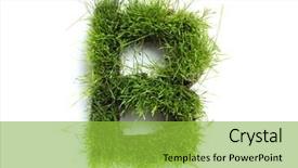  Presentation with letters - Slides featuring letters made of grass - b background and a yellow colored foreground