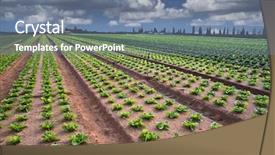  Presentation with israel - Colorful slides enhanced with lettuce field in the sharon region israel backdrop and a seafoam green colored foreground