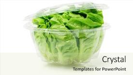  Presentation with plastic container - Cool new PPT layouts with lettuce in open plastic container backdrop and a soft green colored foreground