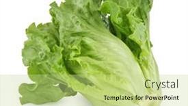  Presentation with green leaf - Presentation design featuring lettuce-leaf-isolated-on-white background and a mint green colored foreground