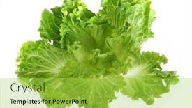  Presentation with green leaf - Presentation theme enhanced with lettuce-leaf-isolated-on-white background and a yellow colored foreground