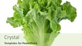  Presentation with green leaf - Presentation design with lettuce-leaf-isolated-on-white background and a yellow colored foreground