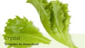  Presentation with lettuce - Colorful slide deck enhanced with lettuce leaf salad isolated backdrop and a yellow colored foreground