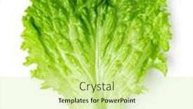  Presentation with lettuce - Cool new presentation theme with lettuce-leaves-isolated-on-white backdrop and a soft green colored foreground