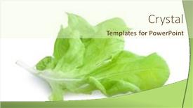  Presentation with lettuce - Slide deck with lettuce-leaves-isolated-on-white background and a cream colored foreground