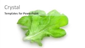  Presentation with lettuce - Colorful PPT theme enhanced with lettuce-leaves-isolated-on-white backdrop and a white colored foreground