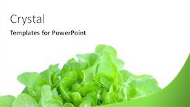  Presentation with lettuce - PPT layouts having lettuce-leaves-isolated-on-white background and a white colored foreground