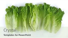  Presentation with lettuce - Presentation theme with lettuce-leaves-isolated background and a mint green colored foreground