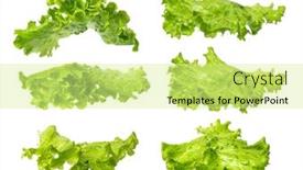  Presentation with lettuce - PPT layouts enhanced with lettuce-salad-isolated-on-white background and a blonde colored foreground