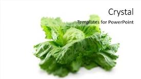 Presentation with throne - Cool new slides with lettuce in it's throne backdrop and a white colored foreground