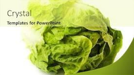  Presentation with lettuce in the vegetable garden - Amazing PPT theme having lettuce backdrop and a blonde colored foreground