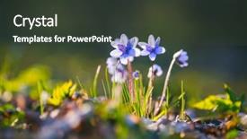  Presentation with small group top view - Audience pleasing PPT theme consisting of level view of lovely flower backdrop and a dark gray colored foreground