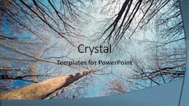  Presentation with woodland - Presentation theme enhanced with level views of a fantastic background and a light gray colored foreground