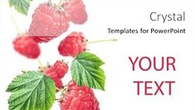  Presentation with harvest - Presentation having levitation-pattern-of-fresh-organic background and a white colored foreground