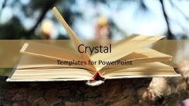  Presentation with education book or tree - Amazing slide set having library cartoon - book on tree branch close-up backdrop and a yellow colored foreground