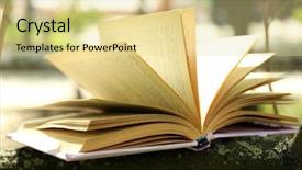  Presentation with education book or tree - Presentation design featuring library cartoon - book on tree branch close-up background and a blonde colored foreground