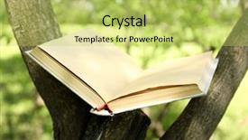  Presentation with branch - Presentation theme with library cartoon - book on tree branch close-up background and a yellow colored foreground