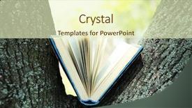  Presentation with education book or tree - Beautiful slide deck featuring library cartoon - book on tree close-up backdrop and a soft green colored foreground