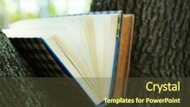  Presentation with books - Presentation theme consisting of library cartoon - books on tree close-up background and a  colored foreground