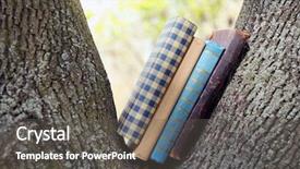  Presentation with education book or tree - Cool new PPT theme with library cartoon - books on tree close-up backdrop and a  colored foreground