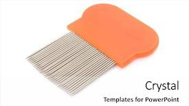  Presentation with head lice - Audience pleasing theme consisting of lice comb isolated backdrop and a white colored foreground