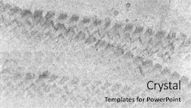  Presentation with concrete - Colorful PPT theme enhanced with licent - urban grunge textures concrete background backdrop and a  colored foreground