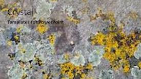  Presentation with lichen - Presentation enhanced with lichen cover background background and a coral colored foreground