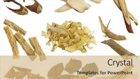  Presentation with solomon - Colorful slide deck enhanced with licorice root dang shen solomon backdrop and a coral colored foreground