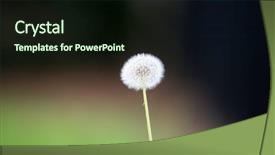  Presentation with seed - Presentation theme with safety first text concept write on notebook background and a coral colored foreground