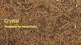  Presentation with forest - Presentation theme having parts earth - forest floor texture background and a tawny brown colored foreground