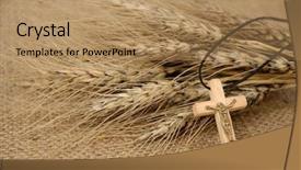 Presentation with jesus cross - Slides consisting of life jesus - christian cross on wheat ears background and a coral colored foreground