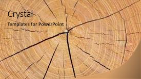  Presentation with oak wood texture and - Beautiful slide deck featuring life line - wooden texture background backdrop and a coral colored foreground