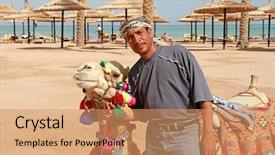  Presentation with camel - PPT layouts featuring life nomad - bedouin and his camel portrait background and a coral colored foreground