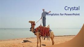  Presentation with camel - Theme with life nomad - camel owner on egyptian beach background and a sky blue colored foreground