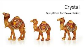  Presentation with caravan - Presentation theme featuring life nomad - caravan of camels isolated background and a white colored foreground