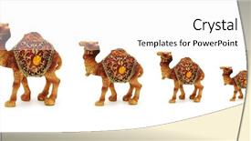  Presentation with caravan - Cool new presentation with life nomad - caravan of camels isolated backdrop and a  colored foreground