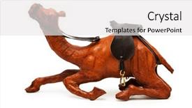  Presentation with desert storm camo - Beautiful presentation theme featuring life nomad - desert camel isolated backdrop and a  colored foreground