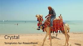  Presentation with camel - Cool new slides with life nomad - egyptian man on his camel backdrop and a coral colored foreground