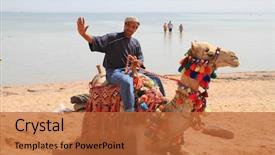  Presentation with camel - Cool new slides with life nomad - egyptian man posing on his backdrop and a red colored foreground