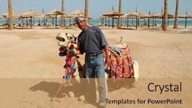  Presentation with camel - Presentation design featuring life nomad - egyptian man with his camel background and a coral colored foreground