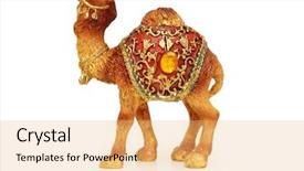  Presentation with camel - Audience pleasing presentation consisting of six hot air balloons in the sky backdrop and a teal colored foreground